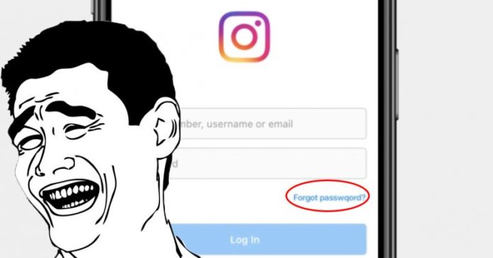 facebook password wrong instagram